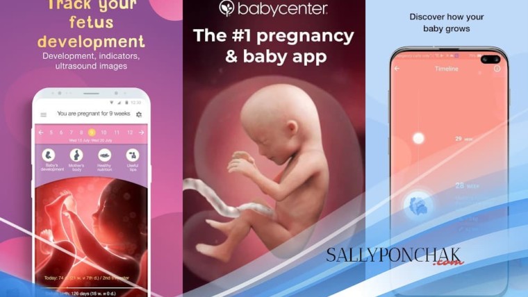 Aplikasi kehamilan terbaik