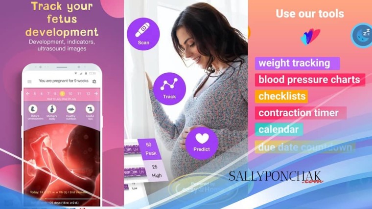 Aplikasi tes kehamilan